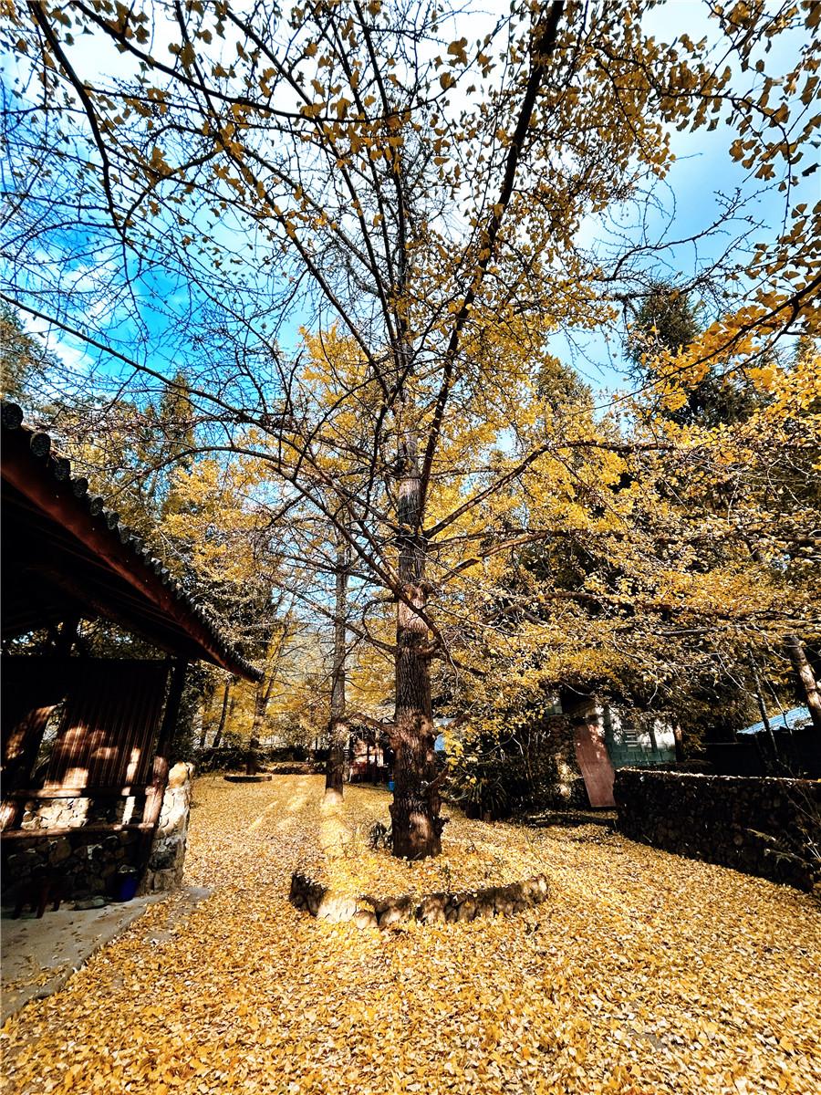 騰沖旅游
