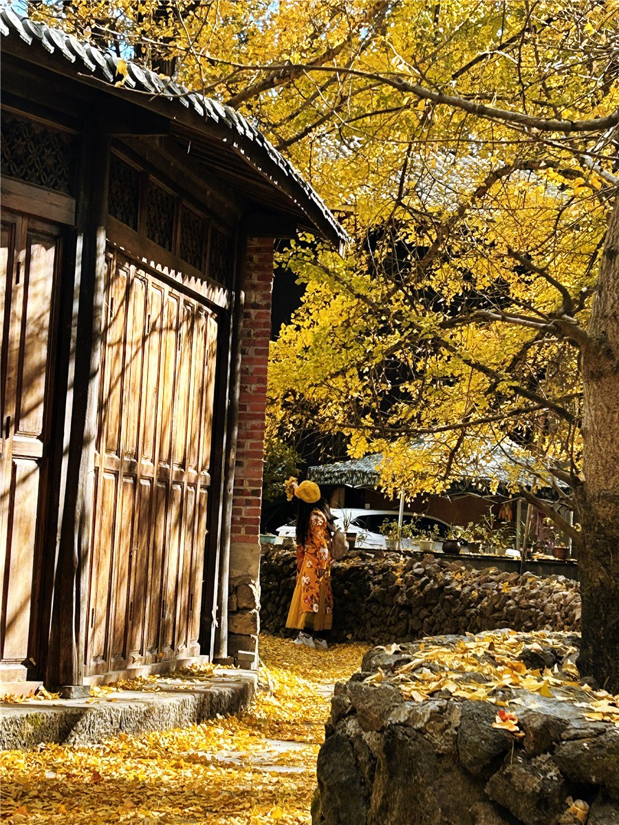 騰沖旅游