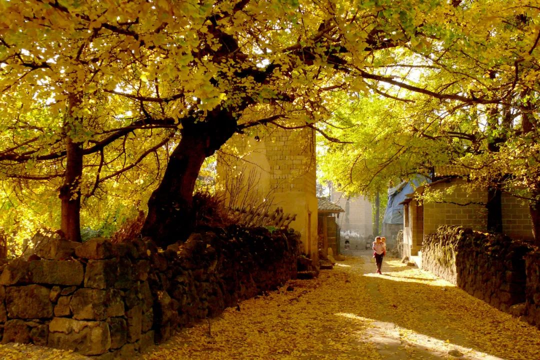 騰沖旅游