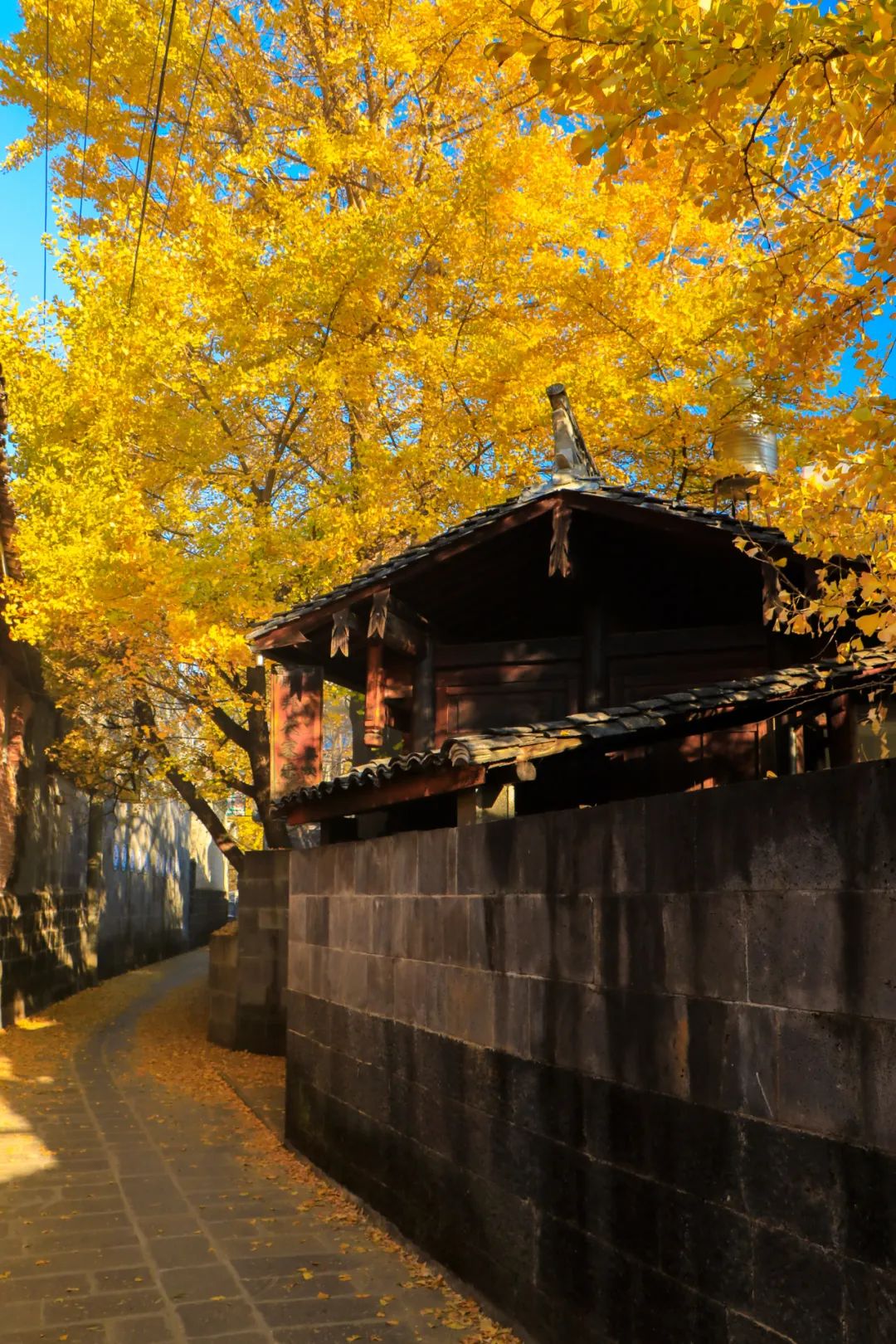 騰沖旅游