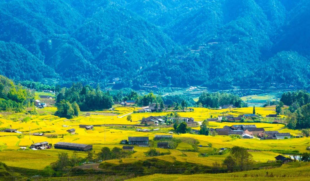 騰沖旅行社：騰沖旅游推薦,騰沖鄉鎮花樣游，陡山日出候君來，芒棒美景伴君行