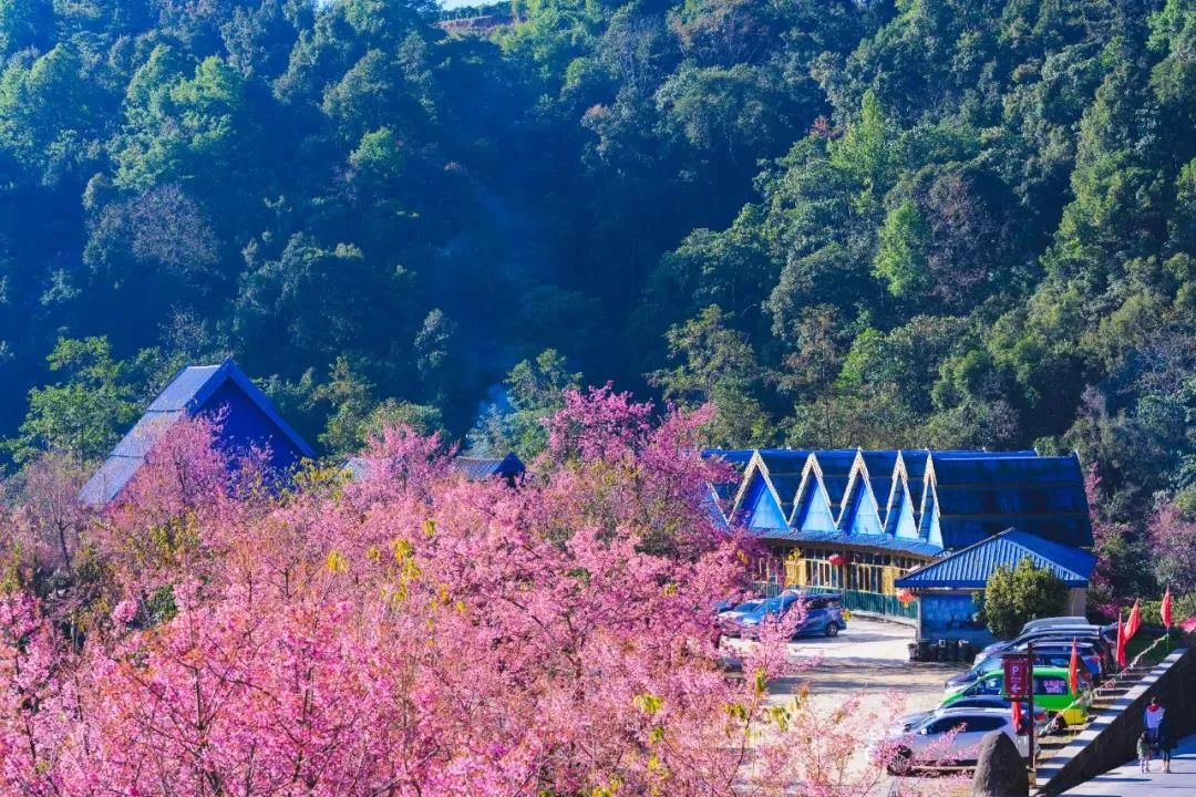 騰沖旅游