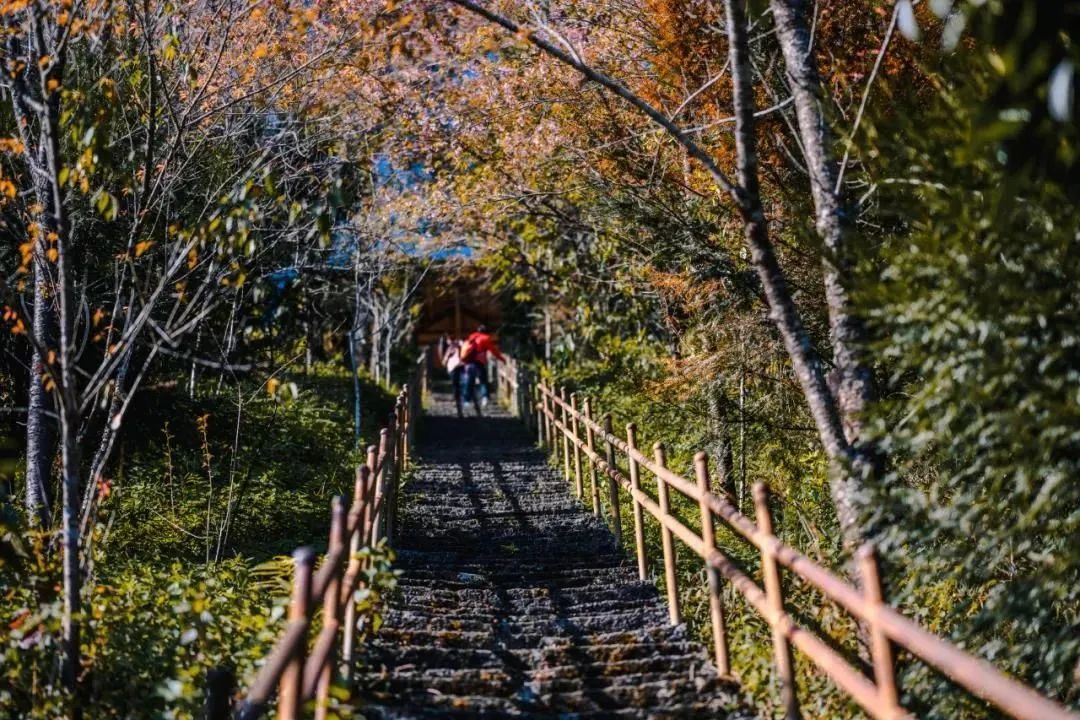 騰沖旅游
