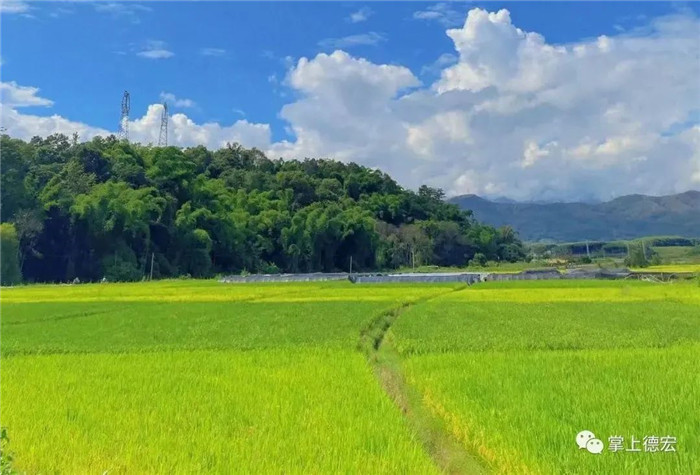 云南定制旅游