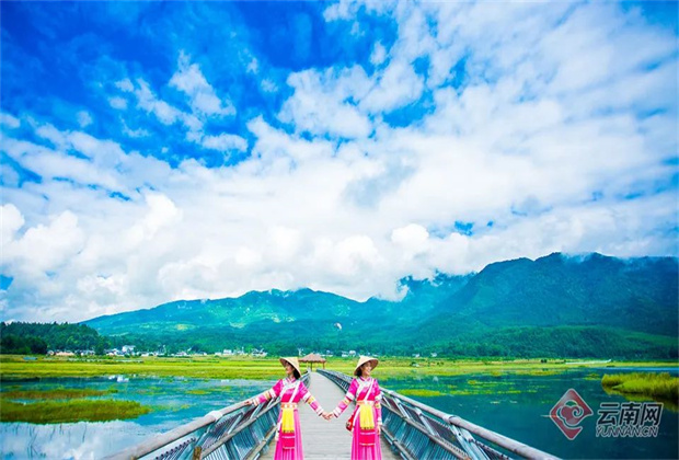 早安云南|北海濕地：北緯25°的靈秀，飄浮在水面的草原