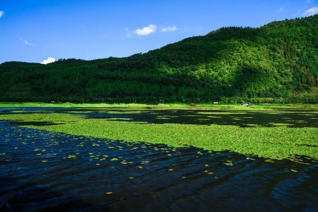 綠水青山